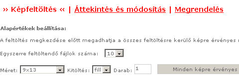 Alap�rt�kek megad�sa