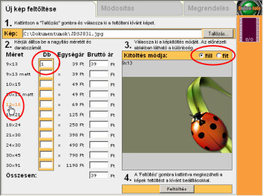 A feltöltés előtt kitöltendő mezők